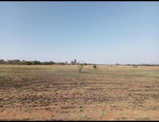 LAND FOR SALE IN HAAKDOORNBOOM